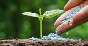 Potensi Inovasi Pupuk